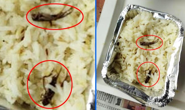 cockroachfoundinairindiameal